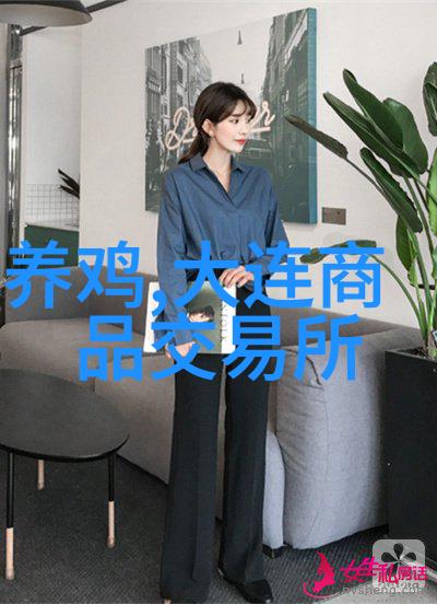双液注浆机精准混合的关键技术在食品加工中的应用与创新