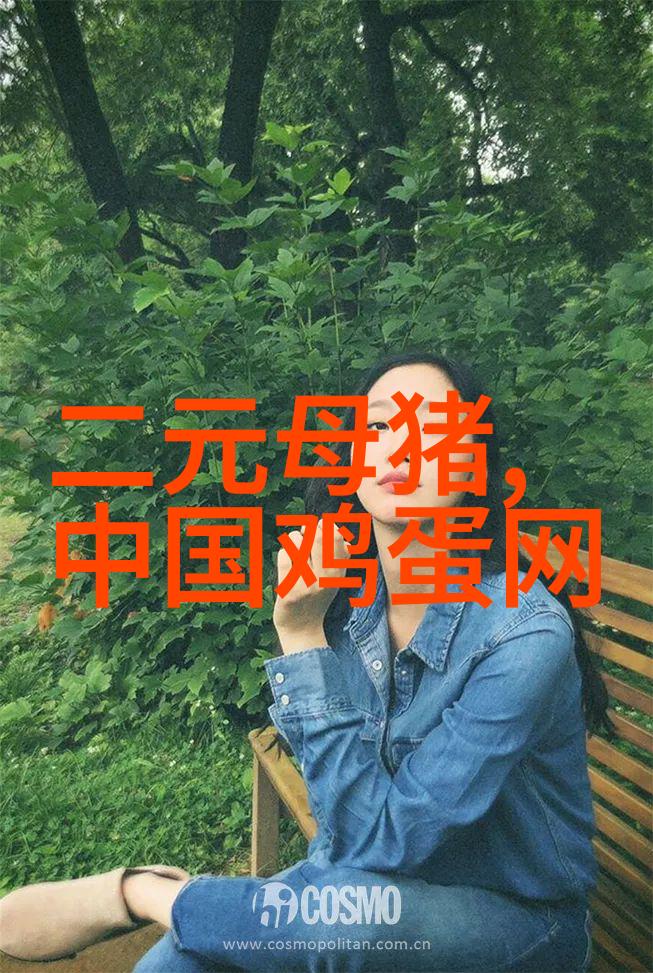 纯化水制备设备全解析从滤芯到反渗透了解各种净化技术
