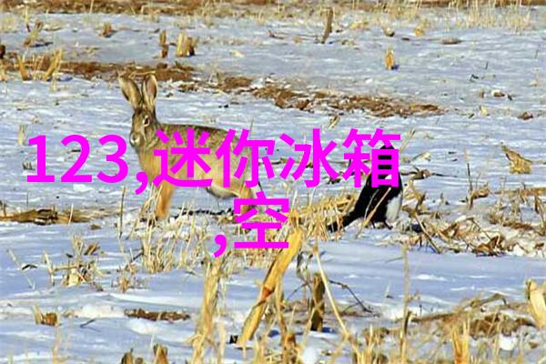 空调制冷制热工作原理流程图解析与冰箱运作机制对比分析