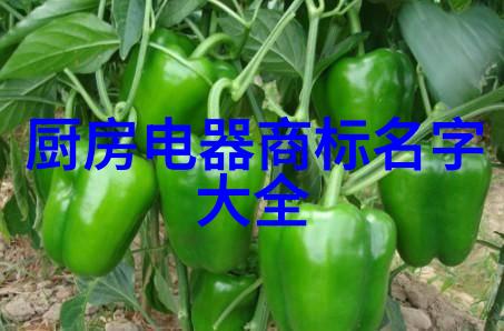 天宝风流txt-江湖情深天宝世家的风华与传奇