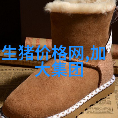中国制药机械设备厂家我来给你介绍一下我们的精益制造之路