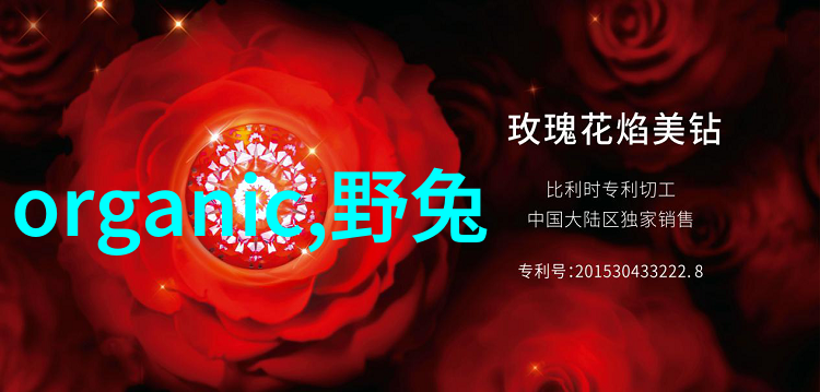 工业用油水分离机 - 精益分离高效的工业用油水分离机及其应用