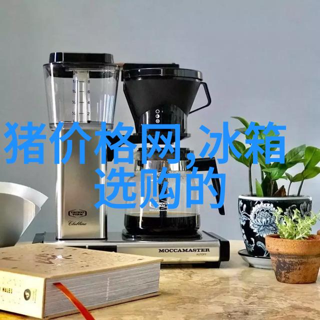 中国设备网网站我是如何在一夜之间提升网站流量的奇迹故事