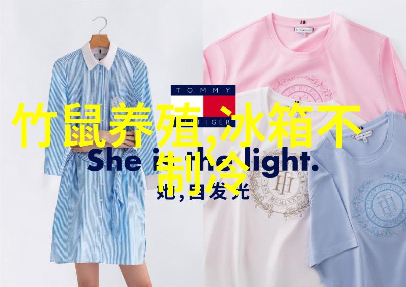 设计与科技融合未来家的智能化家庭冷库探索