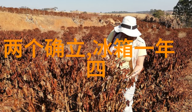 海边探秘揭秘腿再开一点就可以吃到扇贝了视频背后的浪漫