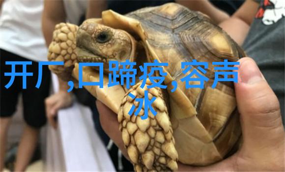 空调系统损坏可能会造成怎样的影响和后果