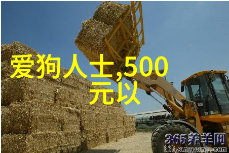 我们经常忽视的厨房配件有哪些重要作用