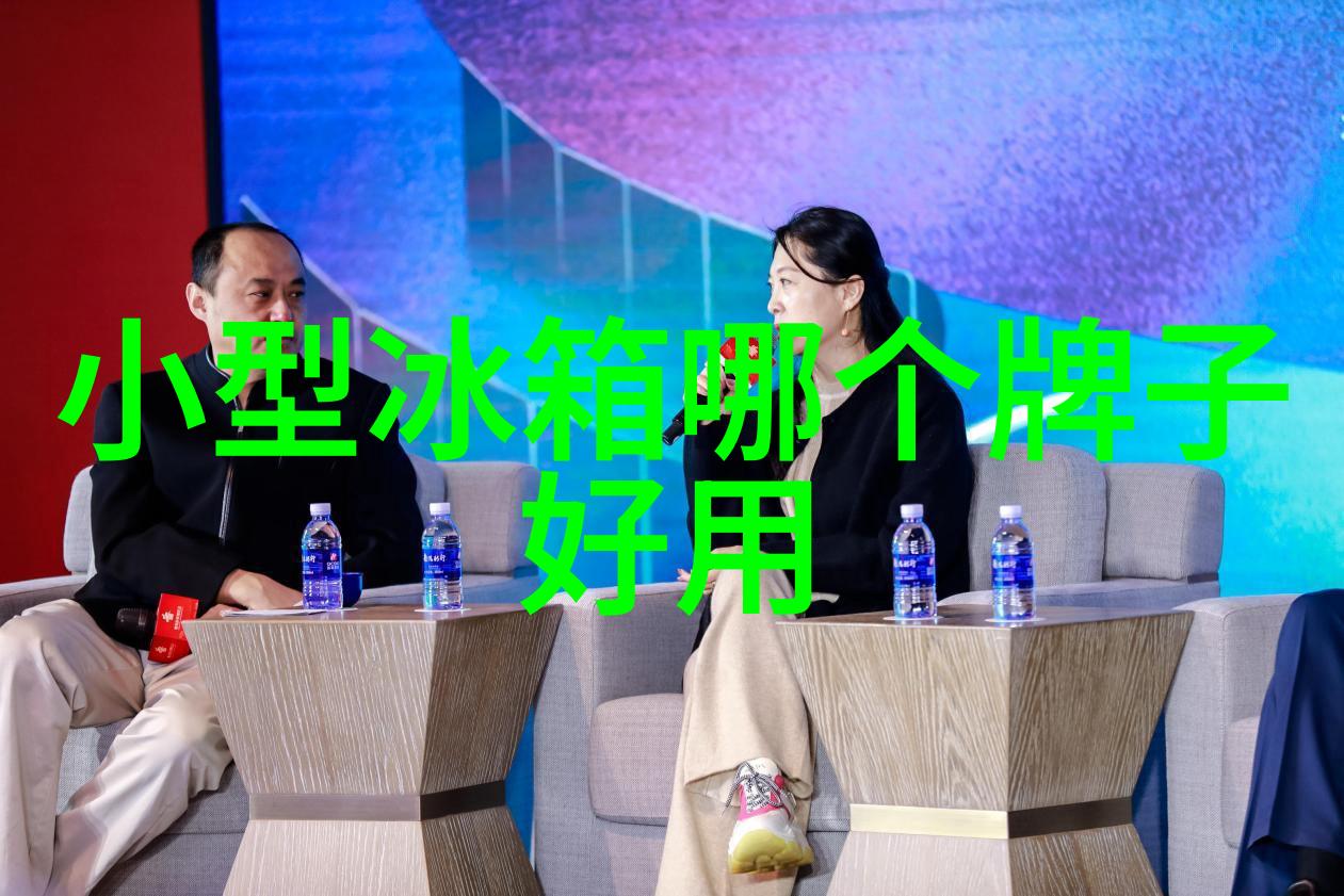 冰箱艺术冷藏时尚的美学探索