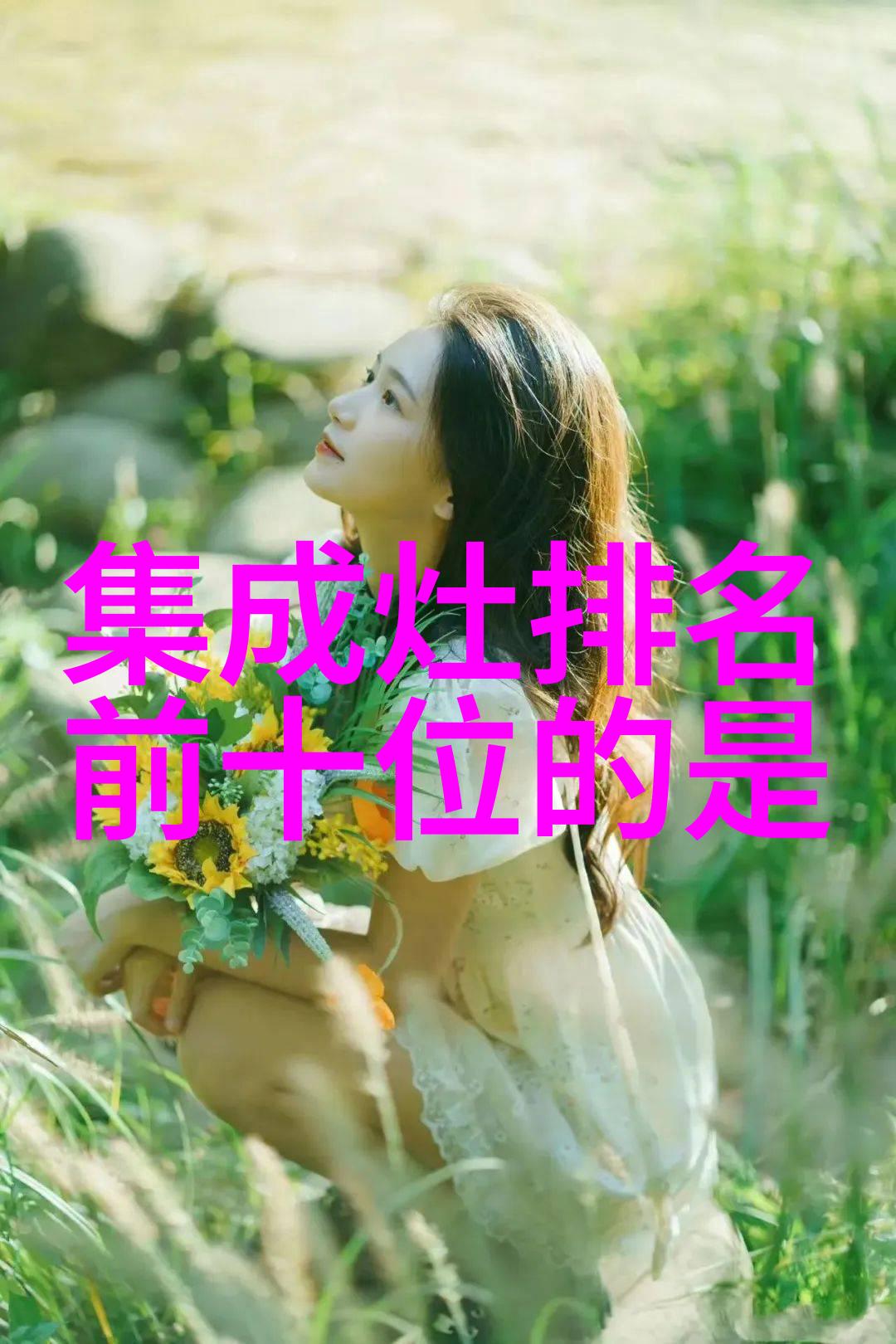 小鸭的成长历程温暖的家园与未知的大海