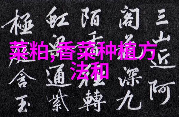 纯化水制备设备种类繁多RO反渗透UF超滤电解质交换等