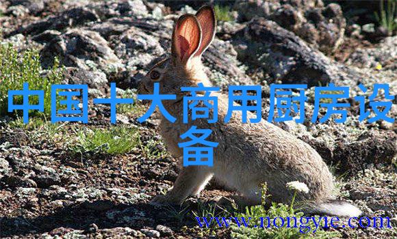 制冷原理流程图-从热量转移到舒适生活揭秘制冷系统的运作机制