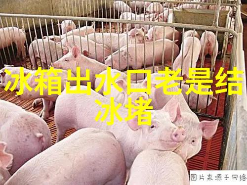 小米商城配件提升厨房与卫浴生活品质的智慧选择