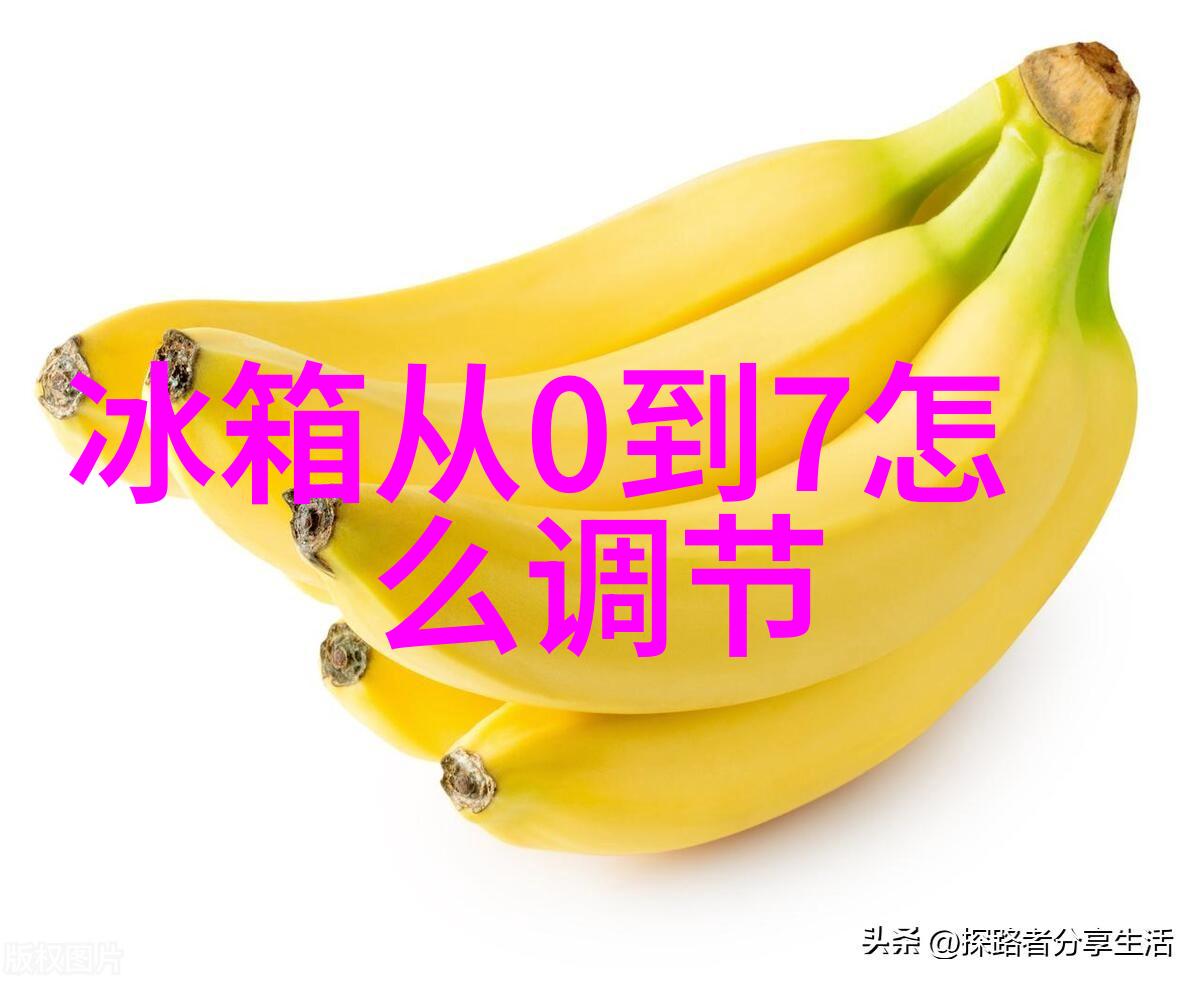 智能清洁的新伙伴扫地机器人的奇妙征程