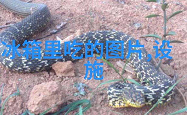 湖南现代物流职业技术学院物流新贵的脚步