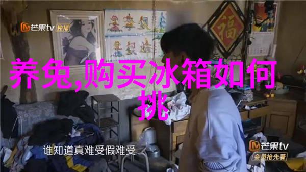 粉状物料冷却设备-粉末流动冷却系统的优化与应用