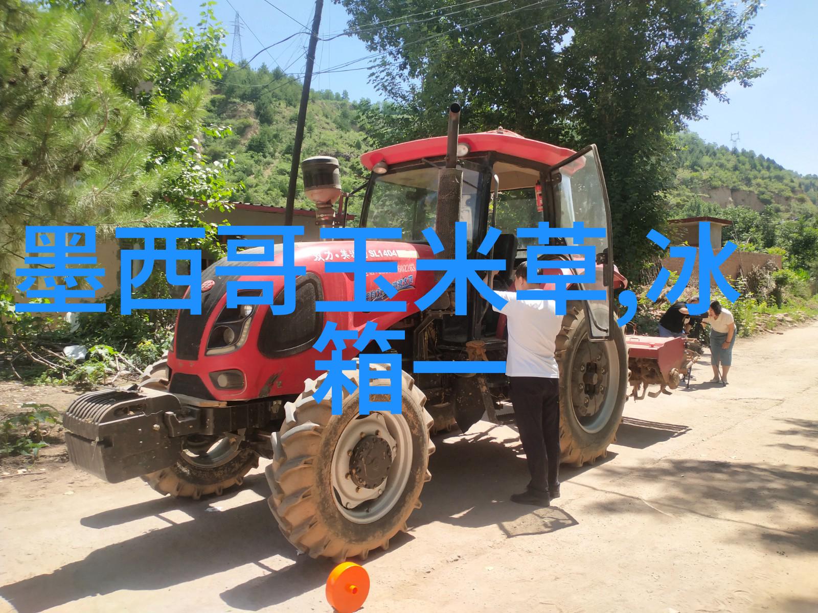小天鹅的优雅舞蹈绚丽多彩的水上芭蕾
