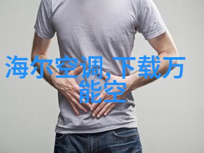 远程办公下的物流挑战如何高效找到货源