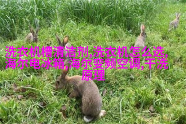 案例二