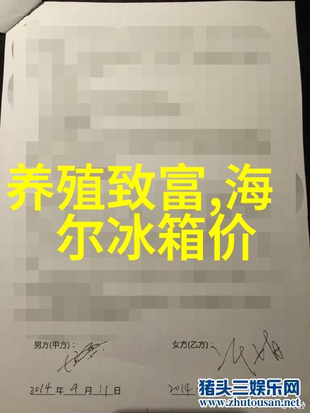 化工机械是干什么的-化工生产中的关键角色探索化工机械的功能与作用
