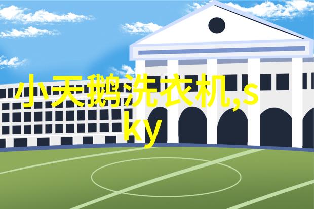 不锈钢卫生泵水的守护者在抽象之城