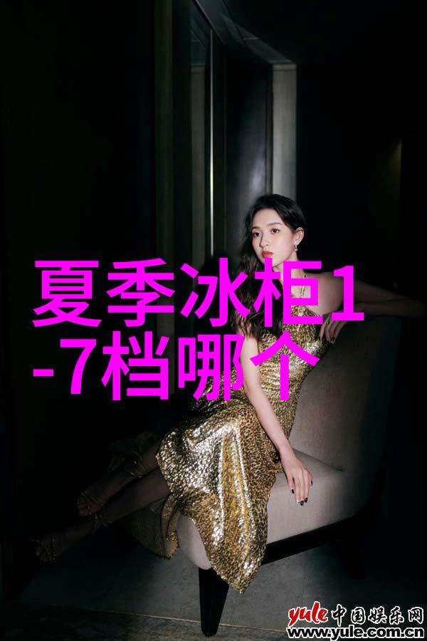 中国半导体产业发展新篇章光刻机技术创新与国际竞争力提升