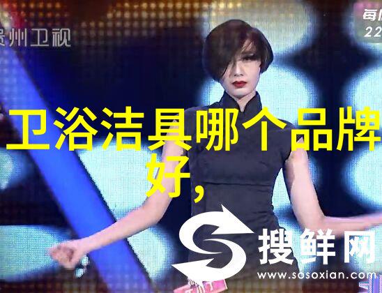 干洗机高效清洁的选择探索干洗技术与环保实践