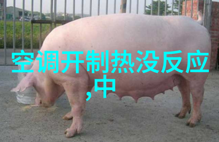 台式蒸汽灭菌器-高效消毒的智能伙伴