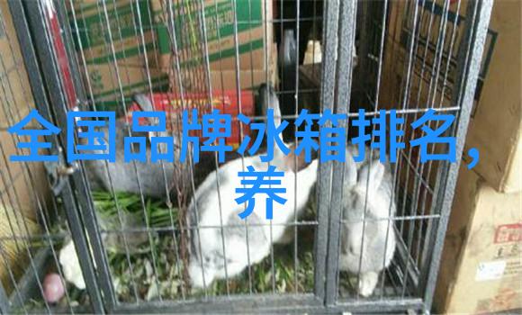 衣物之恋干洗艺术的细腻探索