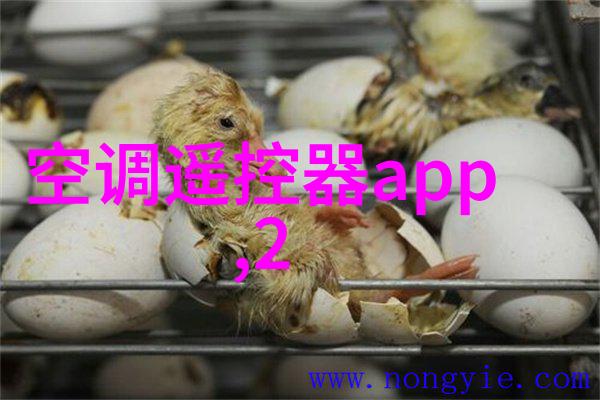 纯化水系统验证方案高效水质检测与系统优化