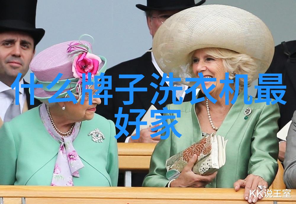 冰箱十字门设计的不足之处探究