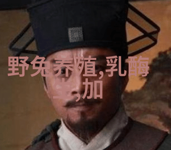 汽车配件大全图片及价格-全车系汽车配件大全精彩图片与最新价格