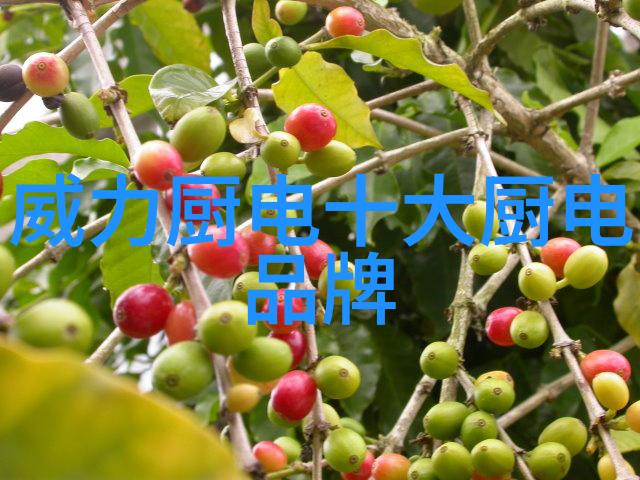 智能家居时代小天鹅半自动洗衣机带来便利
