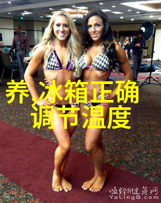 不锈钢丝网之谜填料背后的秘密