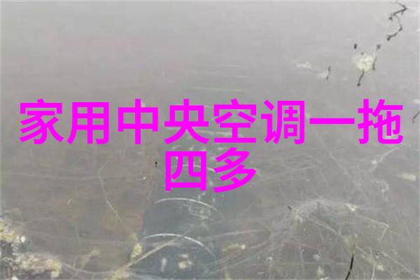 餐饮专用油水分离器-精益餐厅的必备设备如何高效利用油水分离器提升食品安全与节能效果