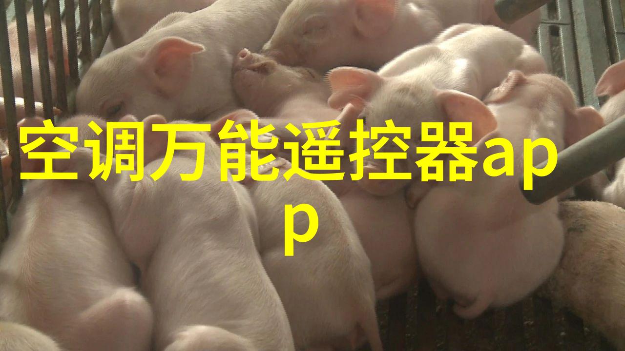 皮带输送机设备-高效运输解决方案揭秘现代工业的皮带输送机设备技术与应用