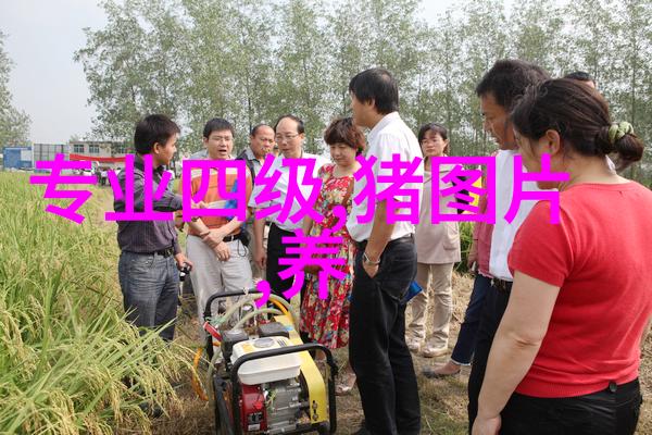 201不锈钢板价格多少钱一吨市场行情分析与预测