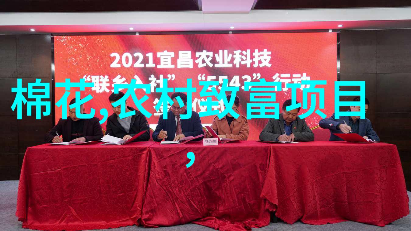 塑料烘干机背后的秘密设备之谜与未知的未来