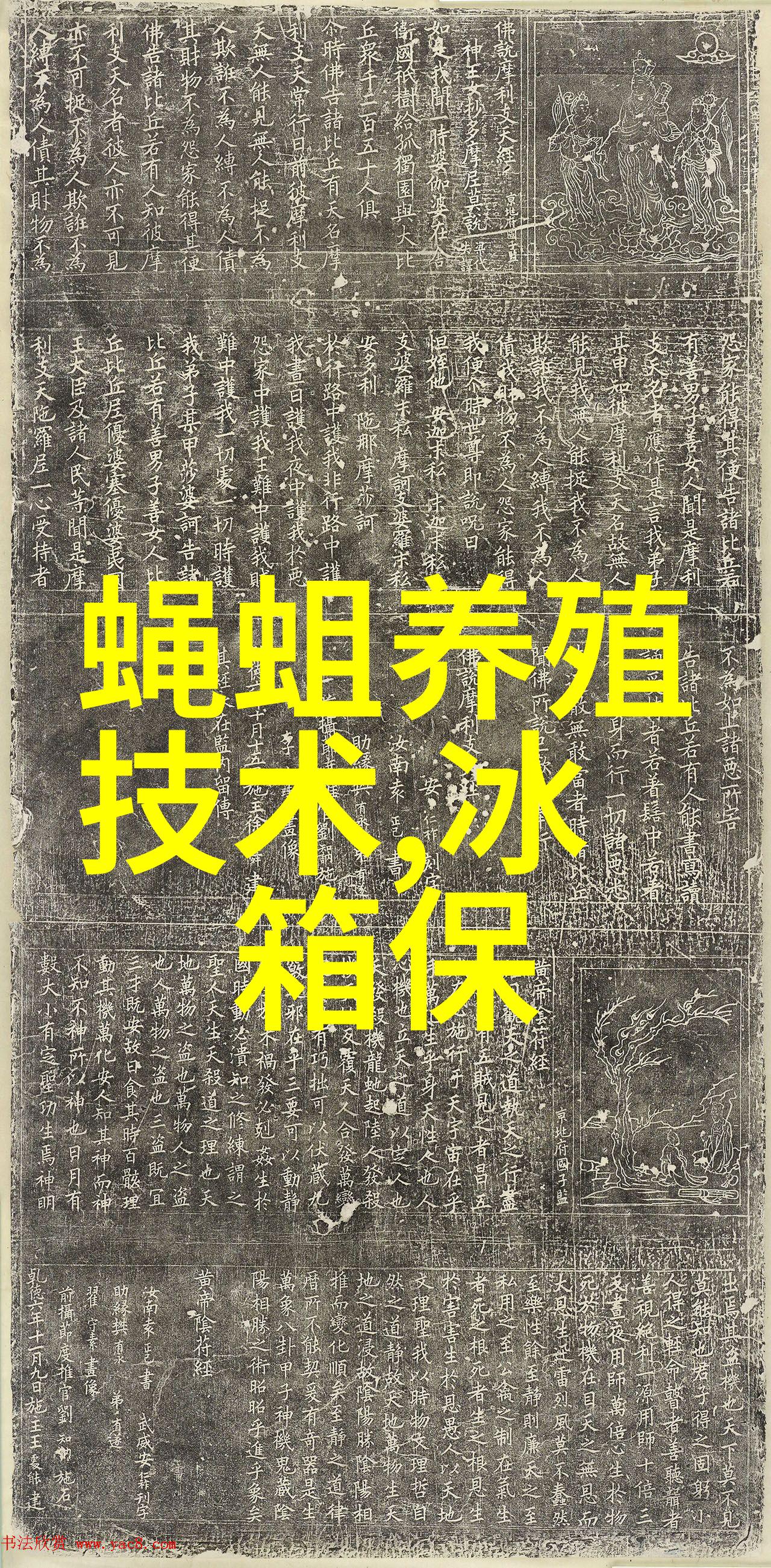 天鹅之舞小天鹅的美丽大冒险