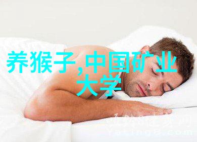 ai智能识别我眼中的AI从识别到理解的奇妙旅程