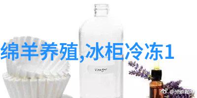 探索幻想世界的奇幻冒险中文版总结