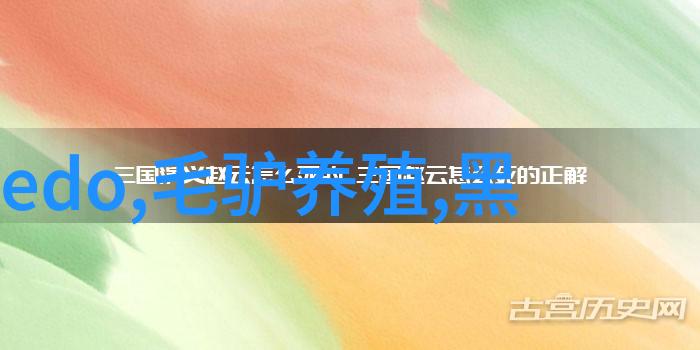 不锈钢加工定做-精密打磨与表面处理技术的完美结合