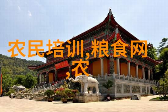 小洗衣机的大梦想从单身生活到结婚生子的奇幻之旅