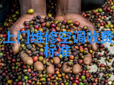 隔膜真空泵我的小伙伴在实验室里的默默奋斗