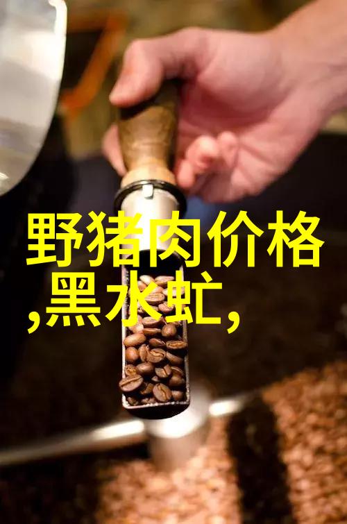 惠浦梦想洗礼在时光的涌动中