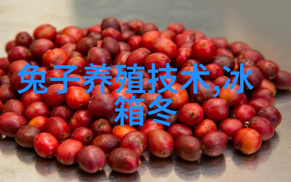 网页设计是否友好便于新生快速导航和了解信息