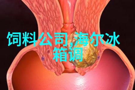 如何清洁和维护常见的小家电如搅拌机打蛋器等