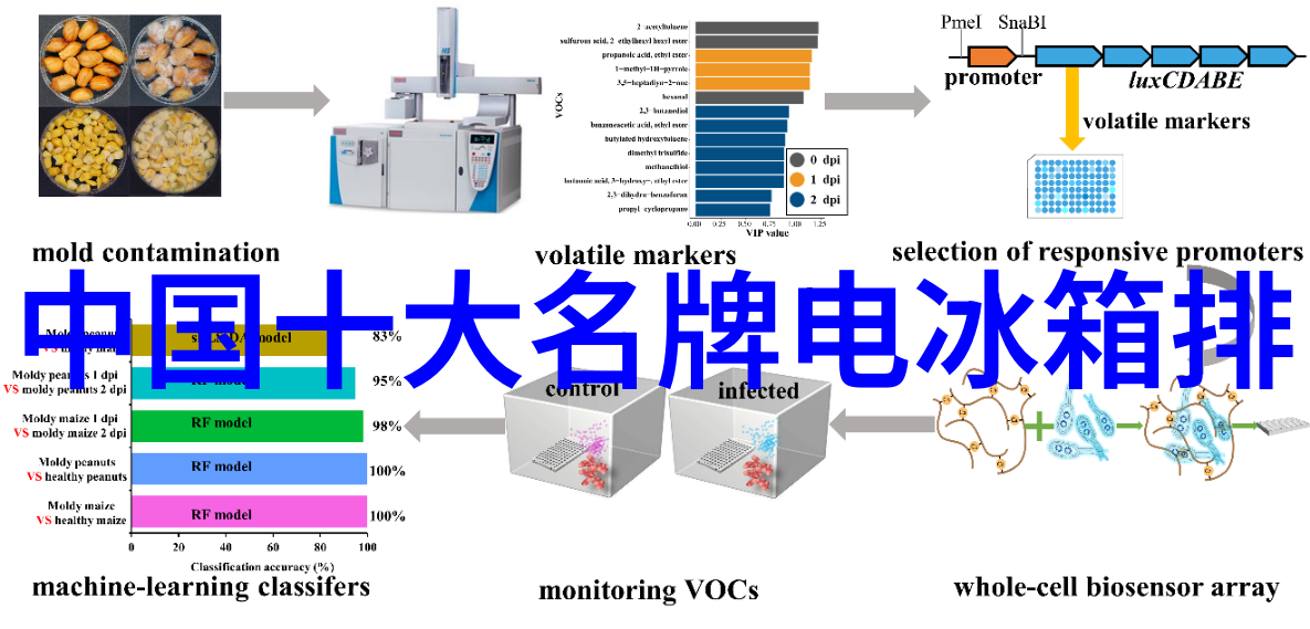 空调制冷制热过程详解图揭秘您的空调是如何工作的