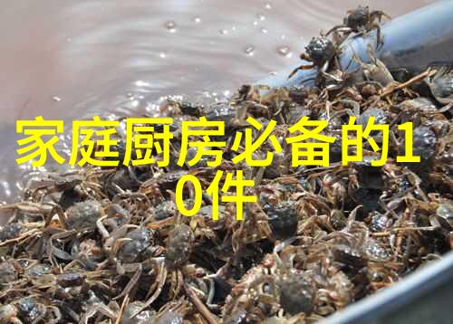 小天鹅水魔方探秘神奇水晶的诞生与魔法世界中的飞跃之旅