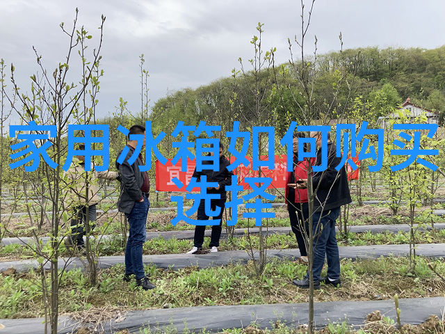蓝图转化为现实EDA工具在芯片开发中的作用