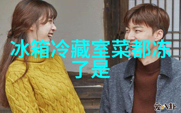 上海家居美学的新篇章追求个性化生活空间设计